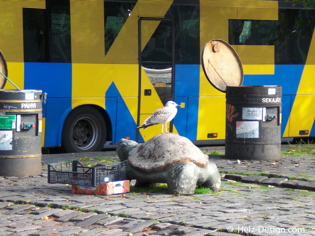 Die berühmten Schildkrötenpoller, bequeme Sitzplätze für Möwen … dahinter IKEA Bus
