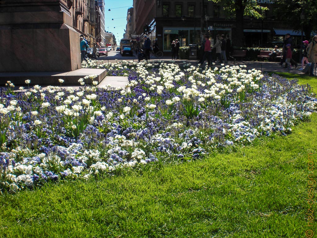 Blau-Weiße Blumen zu Füßen von Johan Ludvig Runeberg.