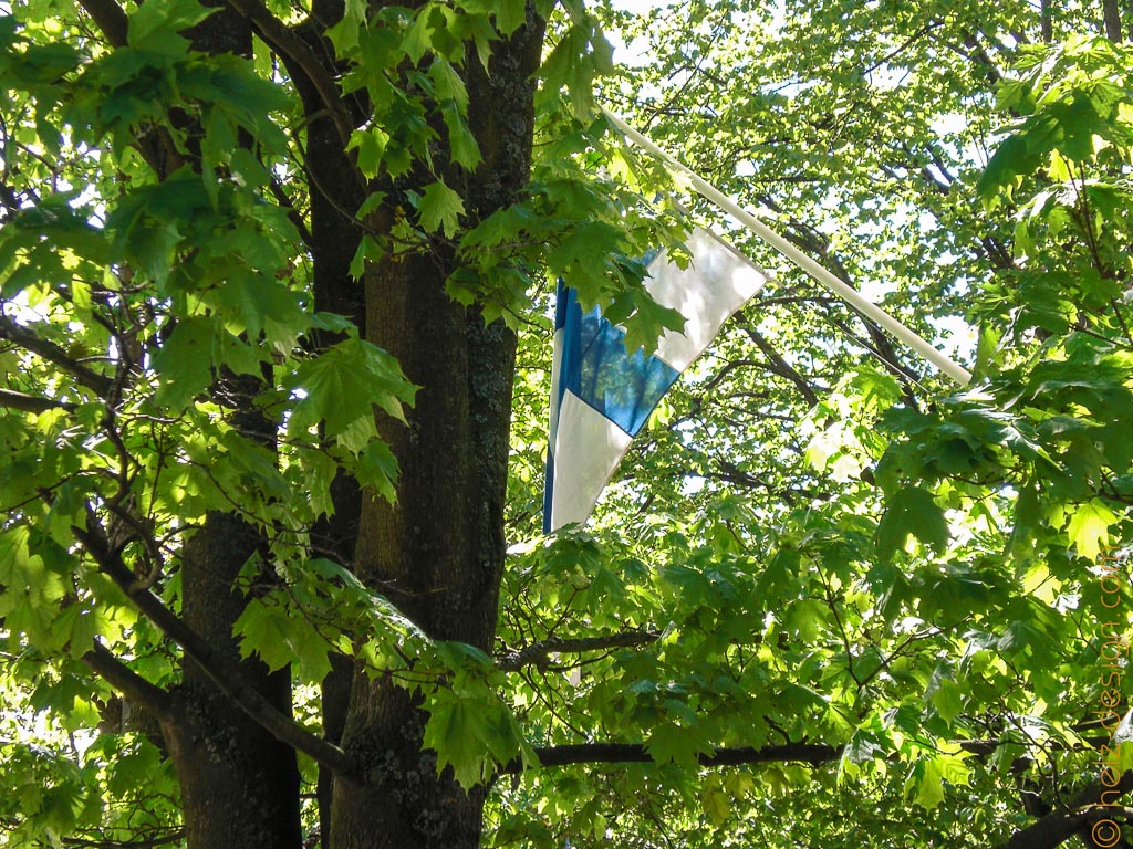 Finnische Flagge durch Bäume