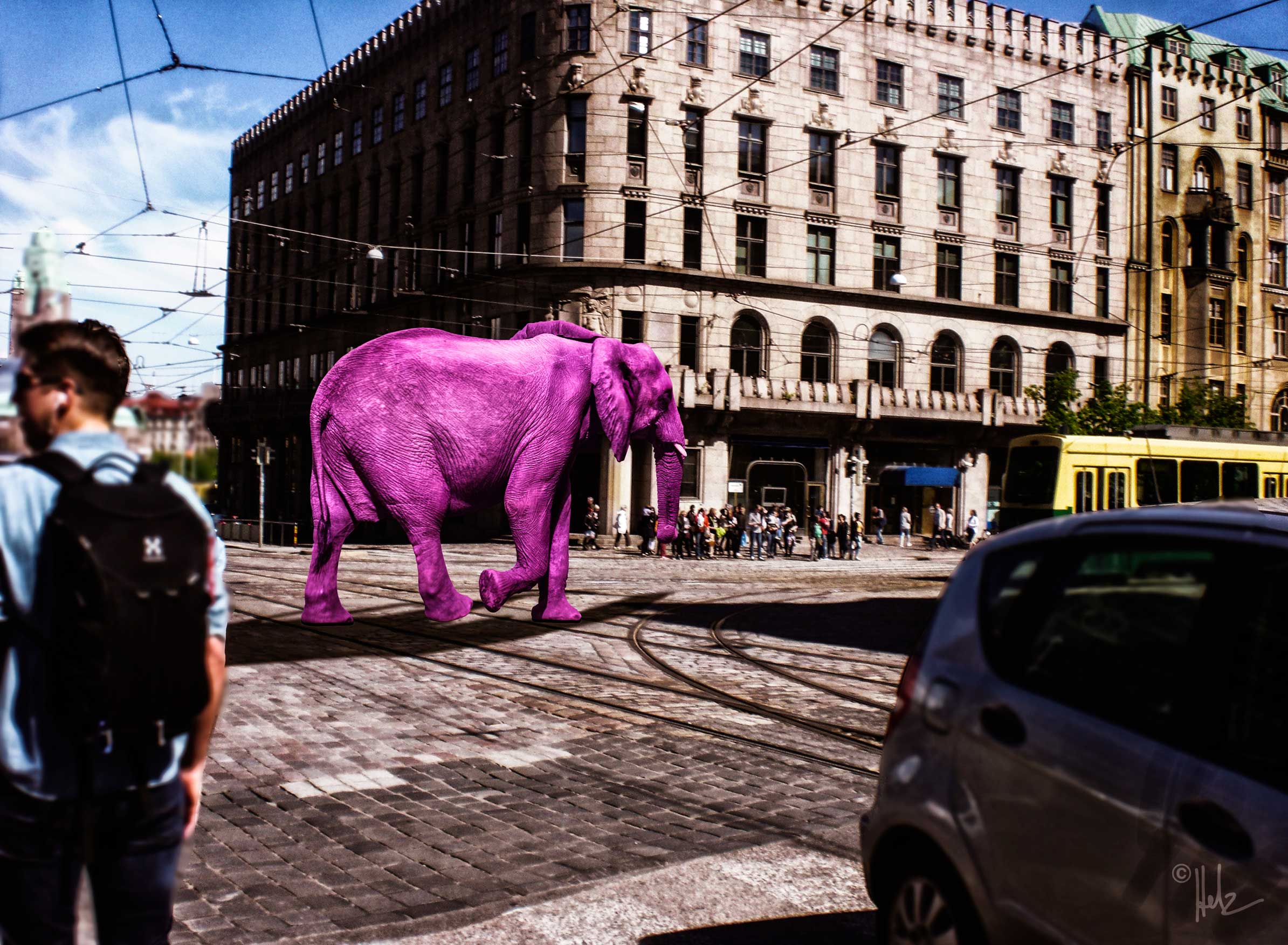 rosa elefant auf der mannerheimintie © helz-design.com