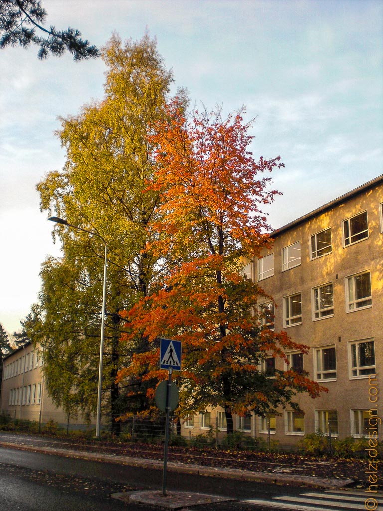  Oulunkylän Yhteiskoulu
