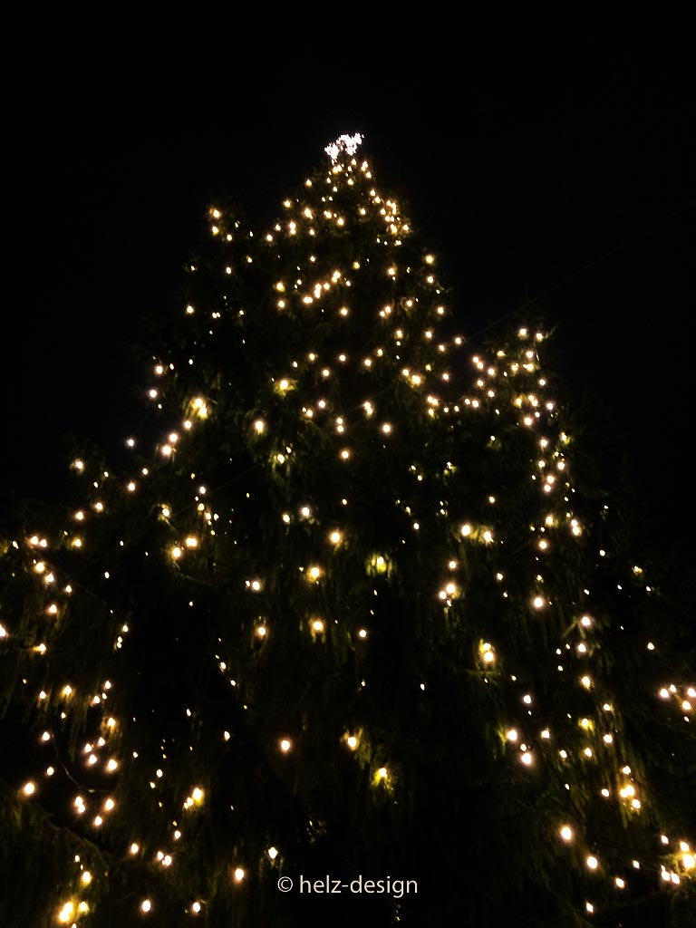 der große Weihnachtsbaum