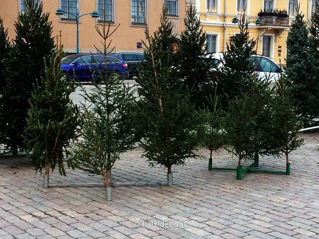 Weihnachtsbäume