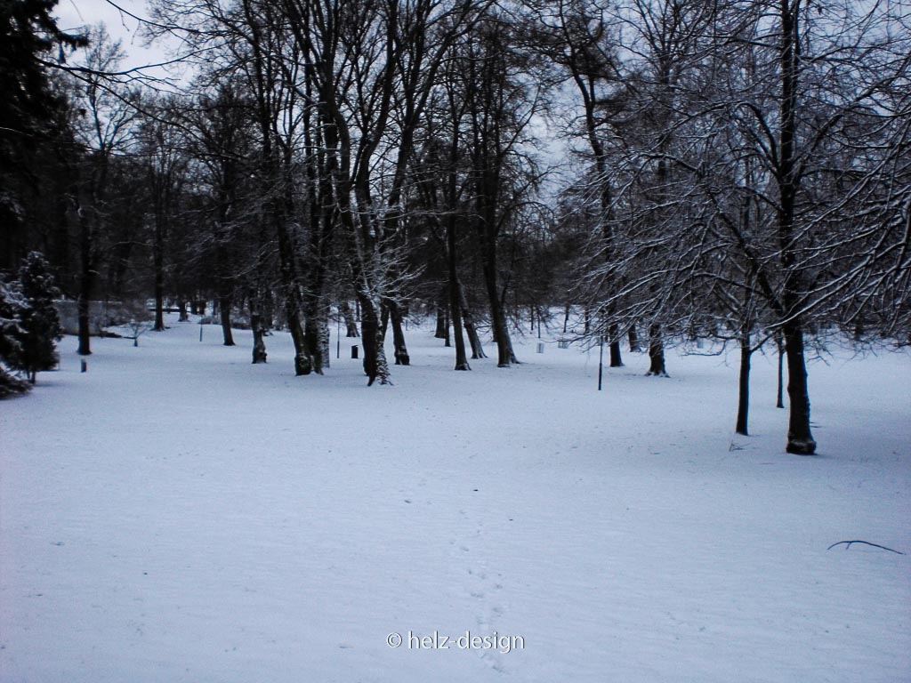 Kaivopuisto