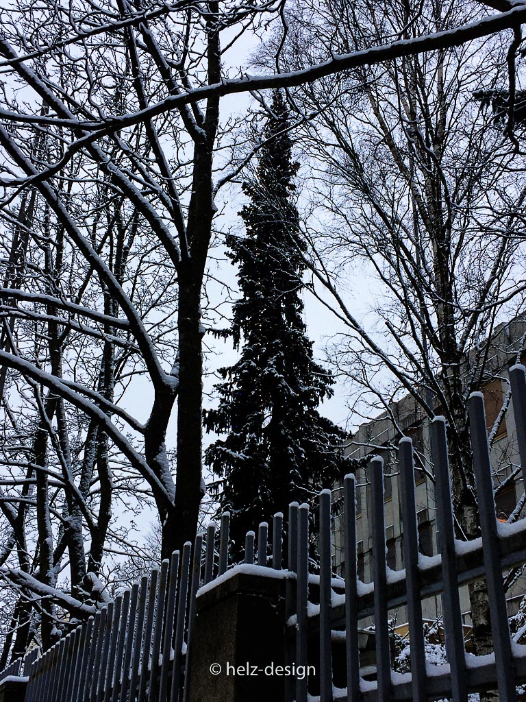 Weihnachtsbaum an der russischen Botschaft
