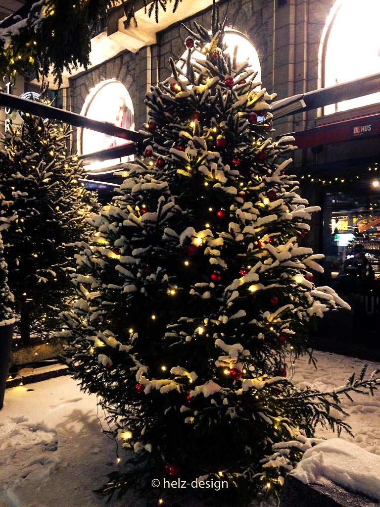 Weihnachtsbäume vorm Bierhaus