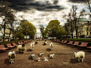 Helsinki Secrets revealed: Esplanadi in old times