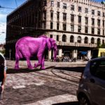 Helsinki Secrets revealed: Elephant fight