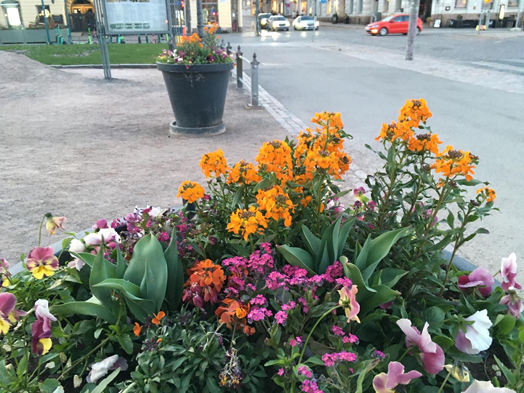 Blumen im Esplanadi