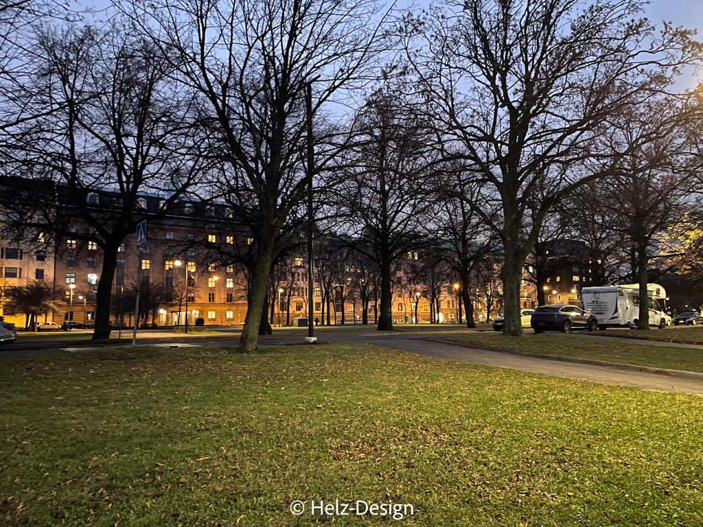 Merikatu